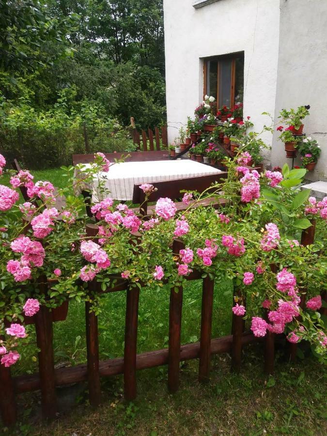 Guest House Emmy Trigrad Ngoại thất bức ảnh