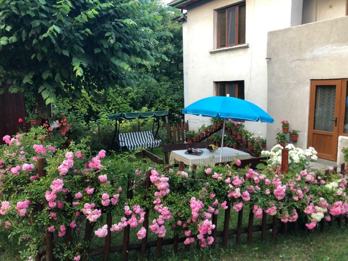 Guest House Emmy Trigrad Ngoại thất bức ảnh
